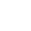 Ícone do WordPress