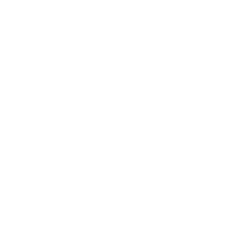 Ícone do CSS